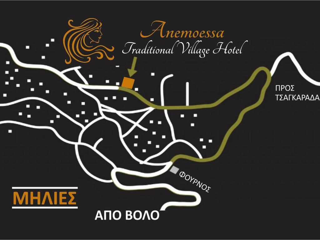 Anemoessa Traditional Guesthouse Pelion Kültér fotó